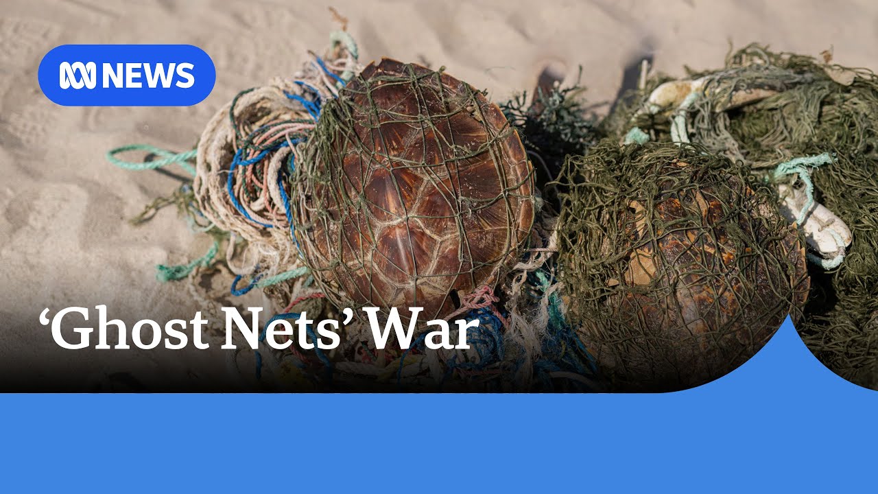 Australia&rsquo;s &lsquo;ghost nets&rsquo; program expands to heavily fished northern seas | ABC NEWS