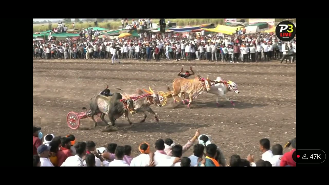 GHOT CHA SARJA & COCKTAIL win👑 vs MATHUR & RAIFAL
