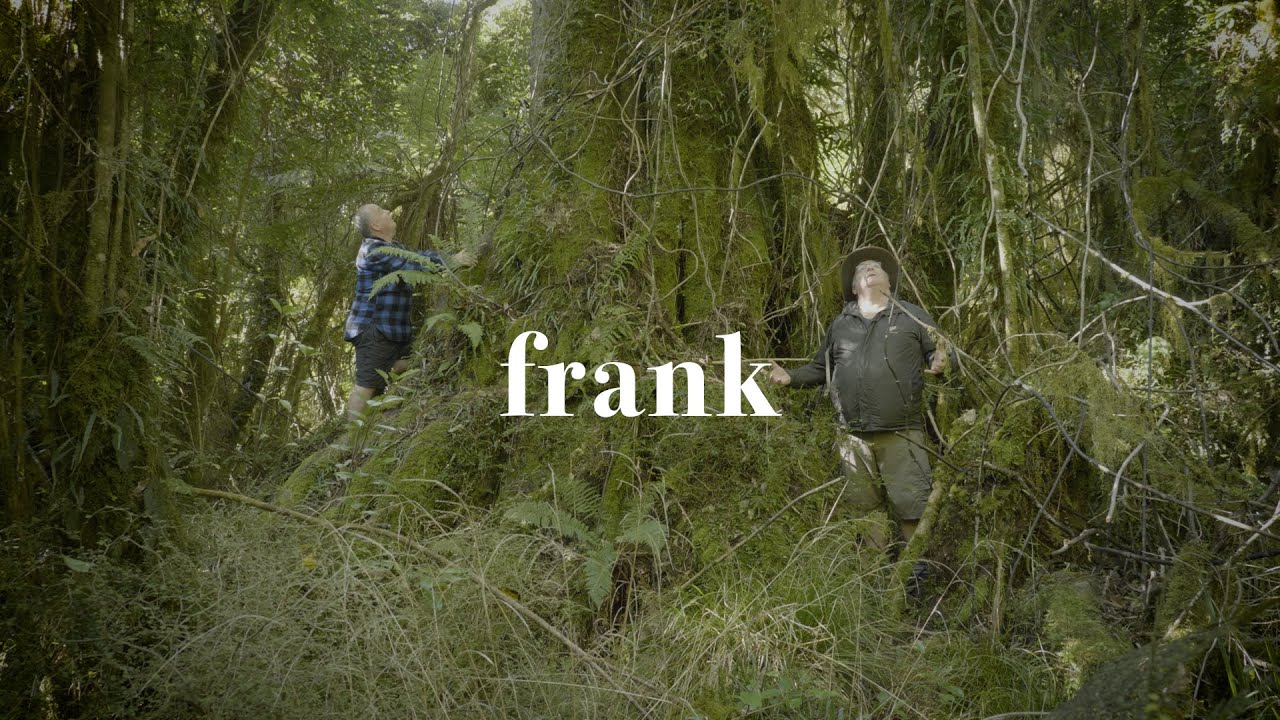 Chasing our biggest trees