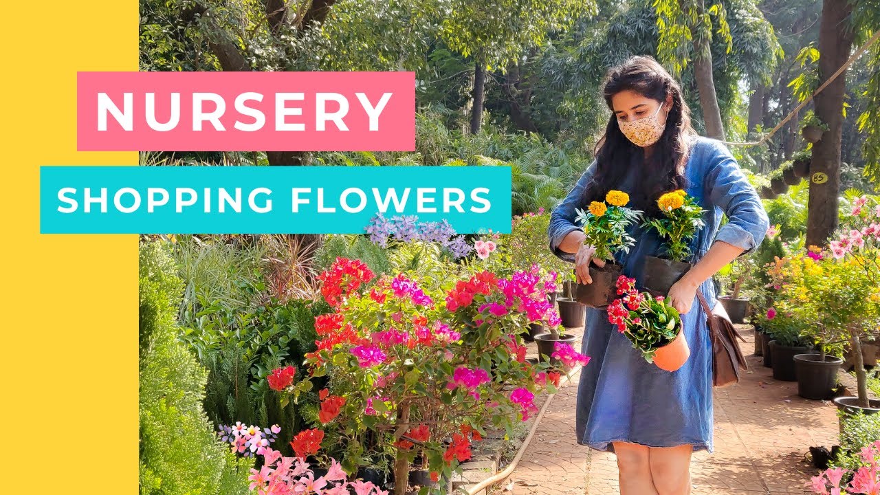 Plant guide for shopping flowers this season