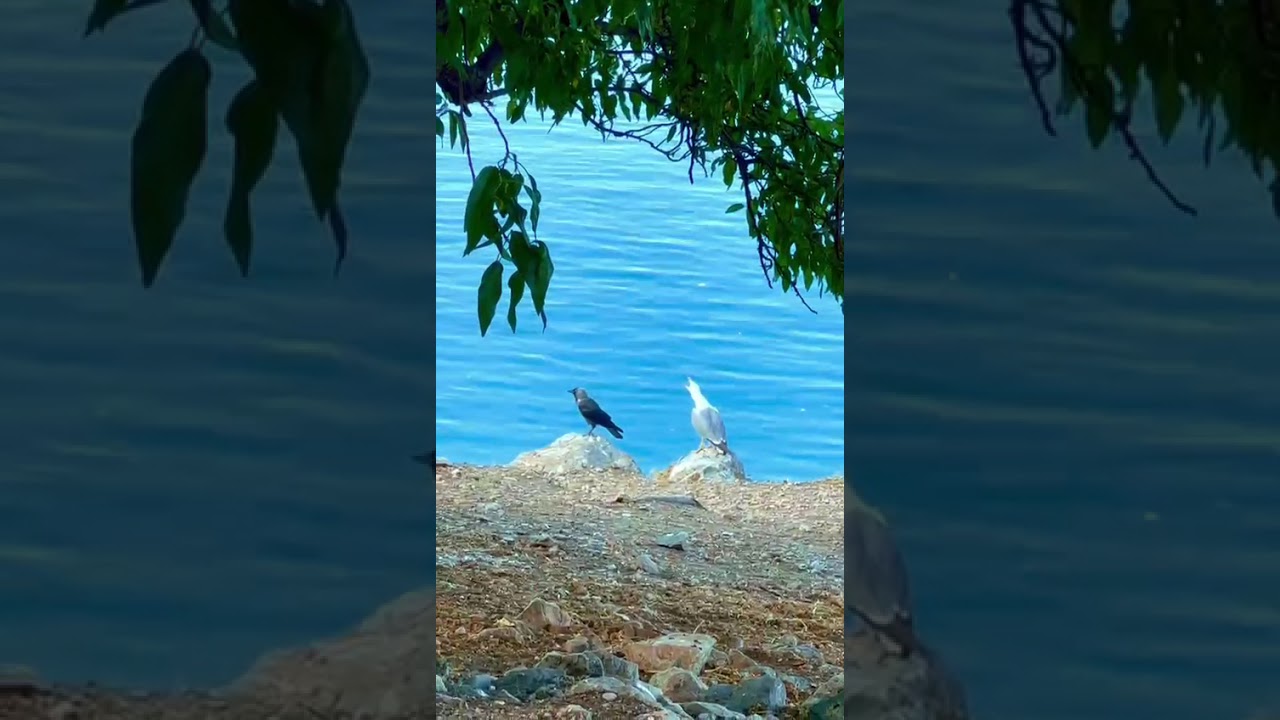 Cemreler düşerken. Dolmasın gözlerin 