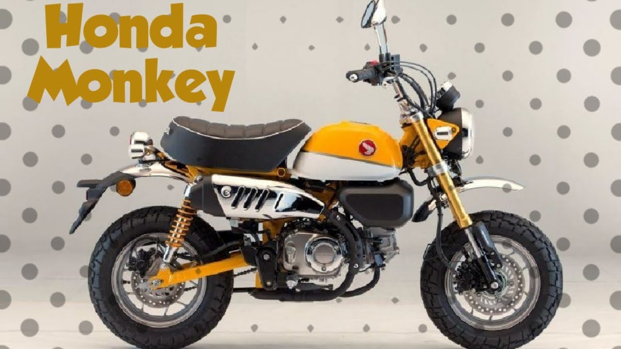 Honest First Ride Review Honda Monkey Bike!