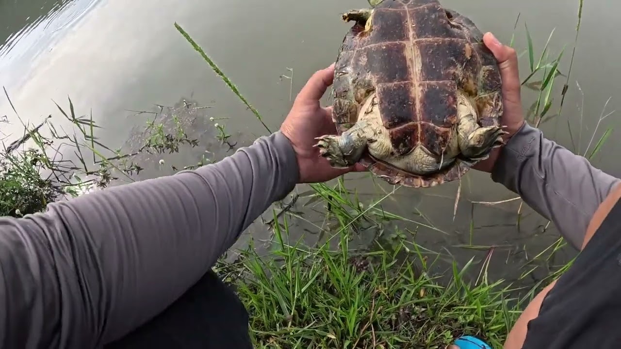 PRIMEIRO VIDEO DO CANAL PESCANDO E GRAVANDO.