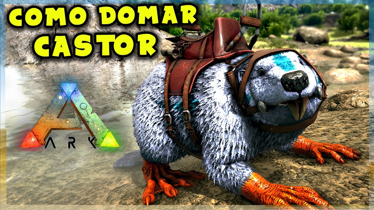Como Domar CASTOR! ARK: SURVIVAL EVOLVED