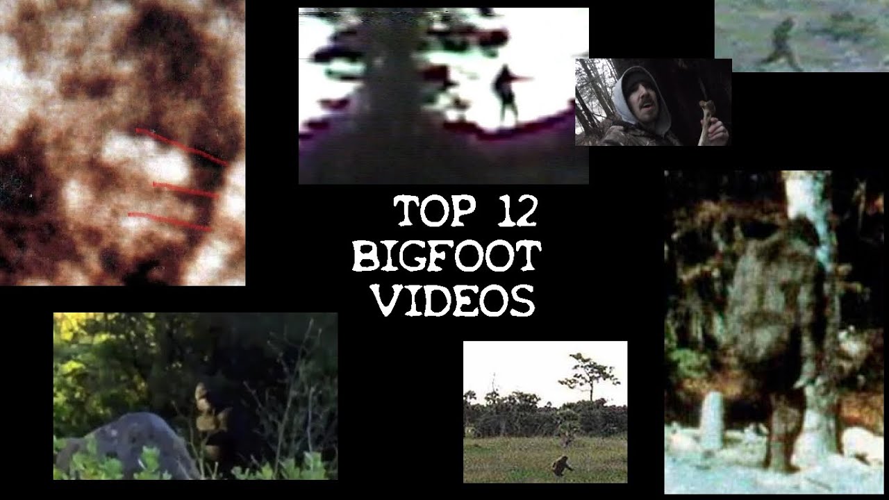 👣 BIGFOOT SASQUATCH AI ENHANCED 2024 Famous & BEST Video Footage OF ALL TIME COMPILATION ANALYSIS 👣