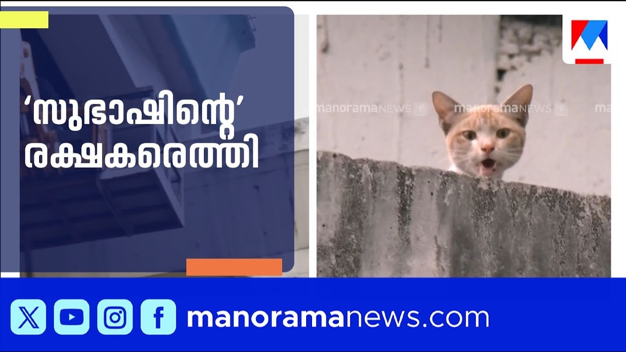 മെട്രോ പില്ലറിൽ കുടുങ്ങിയ പൂച്ചയെ രക്ഷിക്കാൻ ശ്രമം | Kochi Metro Cat Rescue