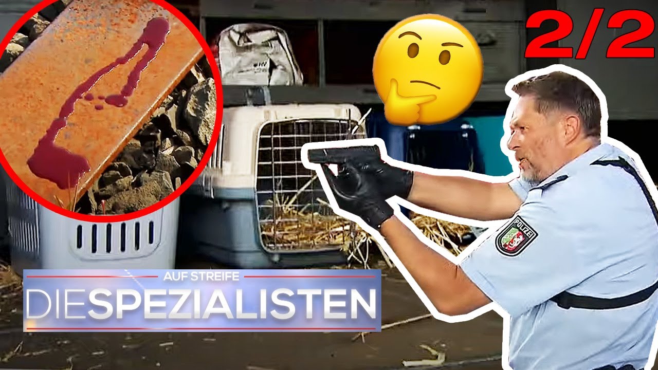 Schmuggler-Spur: DAFÜR haben sich die Freunde in Gefahr gebracht 🆘 |2/2| Die Spezialisten | SAT.1