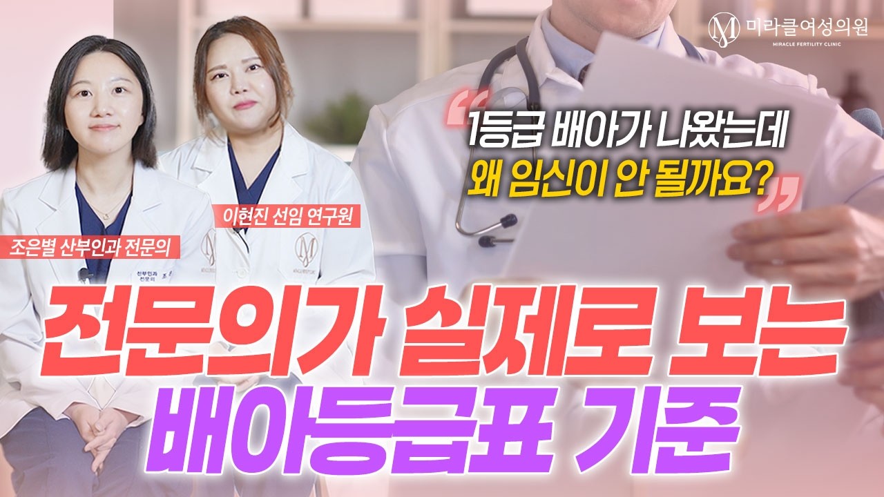 의료진들끼리만 아는 배아 등급을 결정하는 진짜 기준!