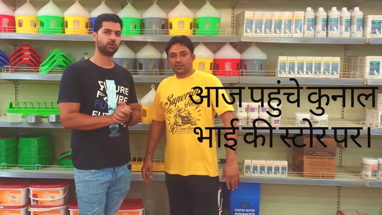 Kunal Pigeon Accessories store. (prahlad rana) @KUNALSANIMALPLANET
