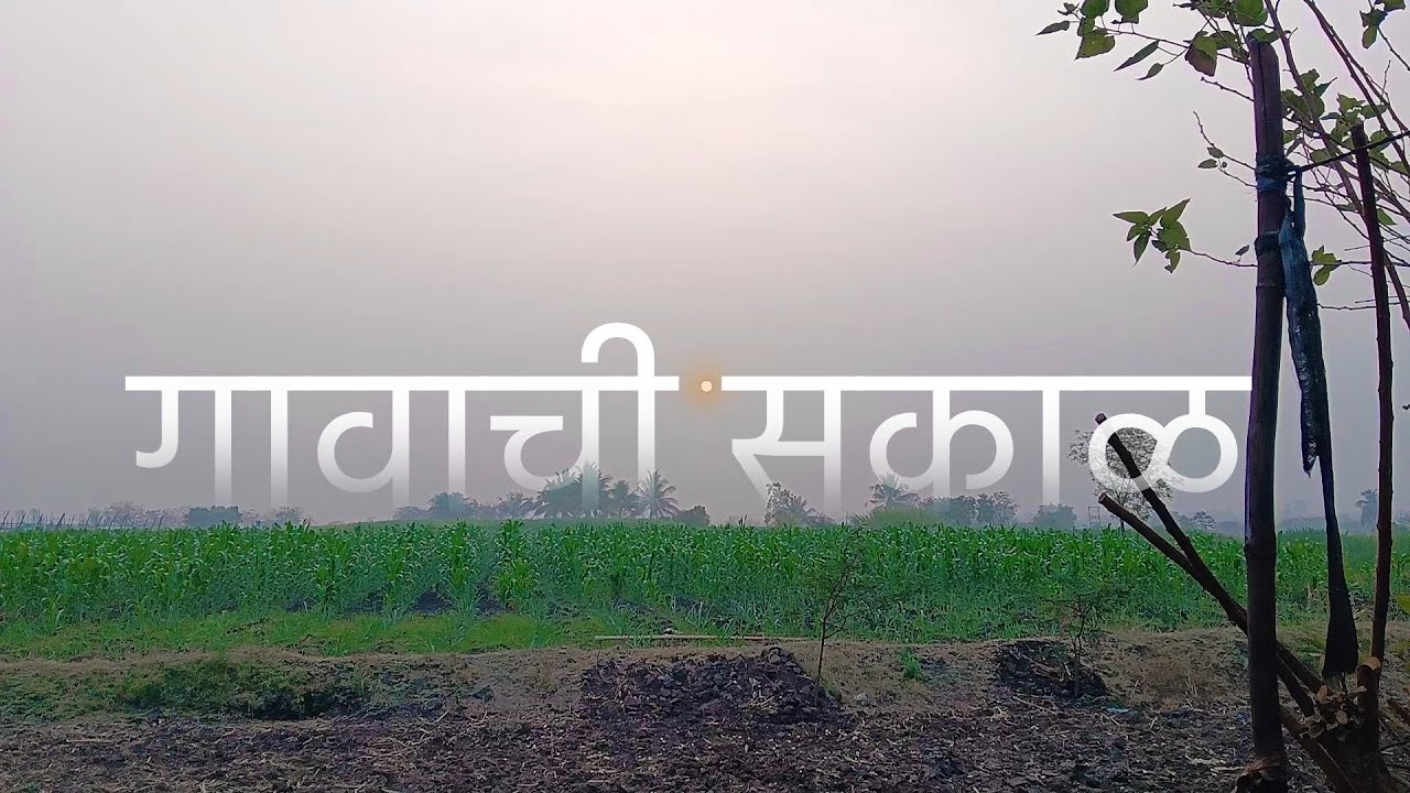 खेड्यातली सकाळ कशी असते? 🌾 | Real Village Morning Routine