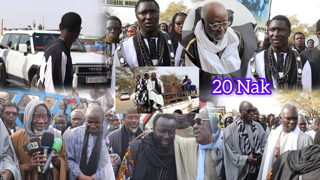 S Cheikh Ndiguël Kala Fall Débalna Serigne Cheikh Ndiguël fall 20 Nak Mou Débalkou S Amdy Khady fall