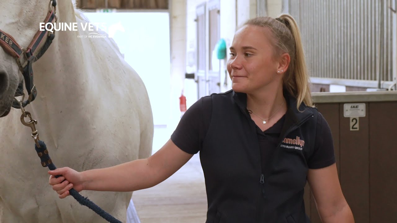 IVC Evidensia Graduate Academy - Equine