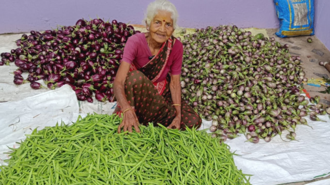 routine life/ எல்லா காயும் இன்னைக்கு சமைச்சாச்சு...