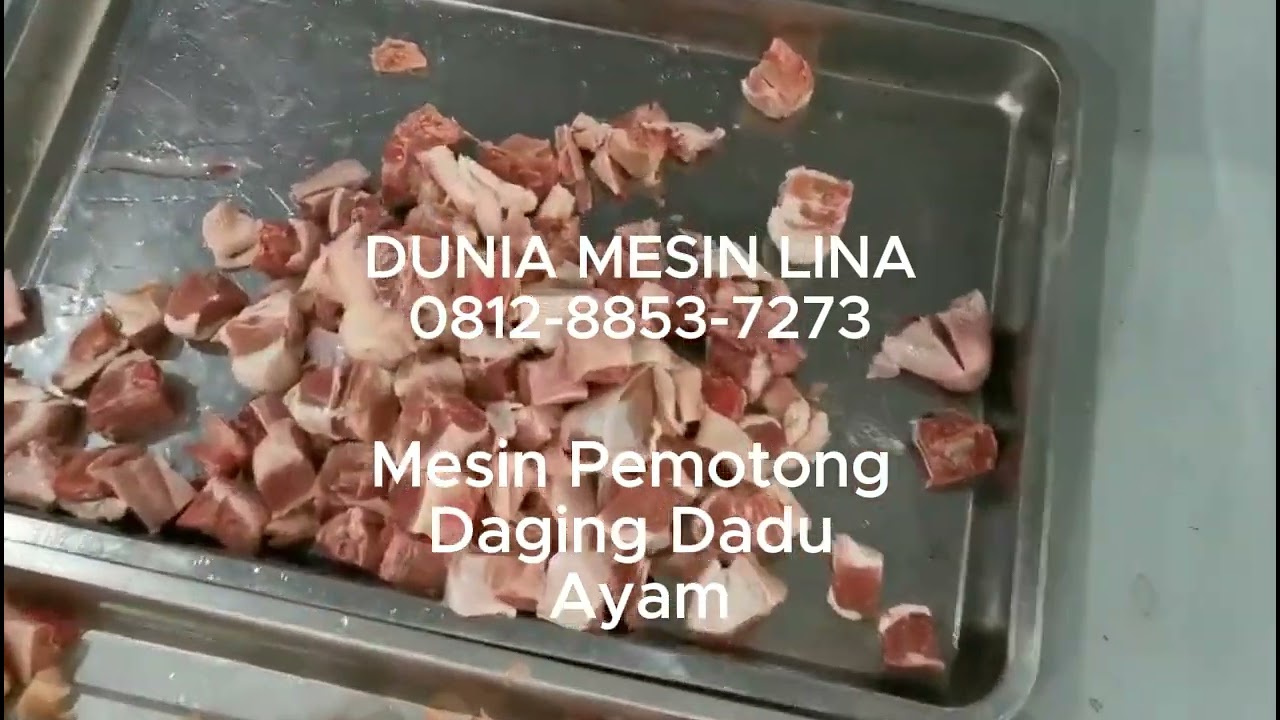 Mesin Pemotong Daging Dadu Ayam  / Bebek