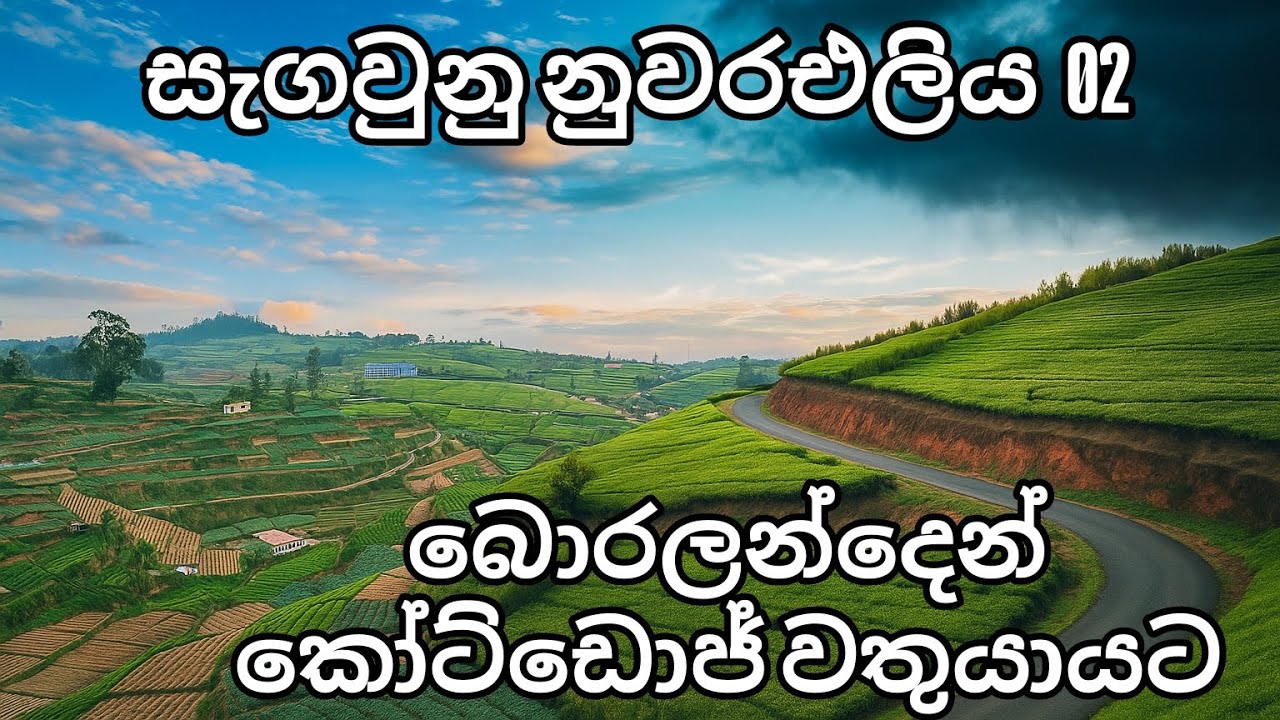 ලංකාවෙ ලස්සනම තේවතු තියන නොදුටු කදපොල / kandapola nuwaraeliya court lodge tea estate/NUWARAELIYA