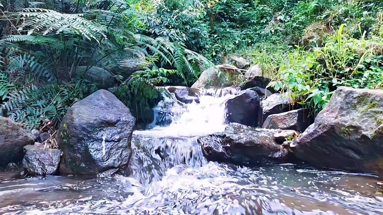Gentle River Sounds for Mental Relaxation