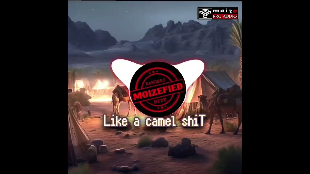 Like a camel shit - dj moize #housemusic #bounce #techno 
