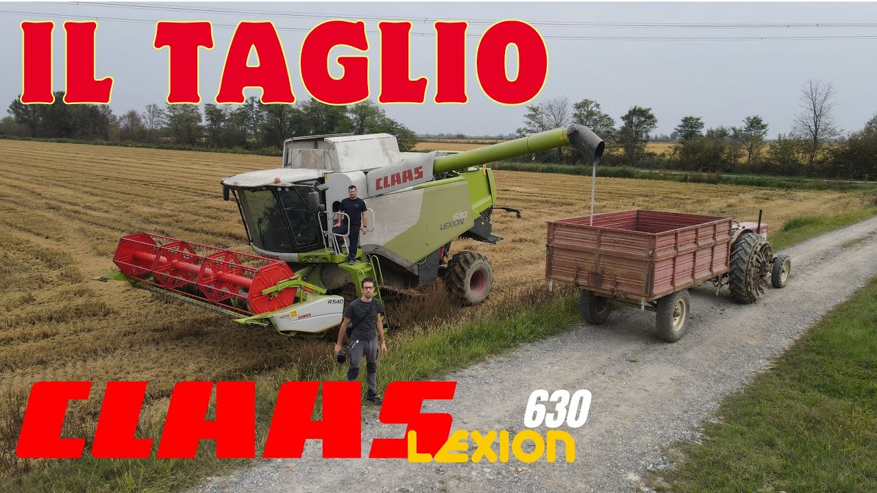 RISO E RISAIE VERCELLESI - IL TAGLIO CON CLASS LEXION 630 - PARTE 3