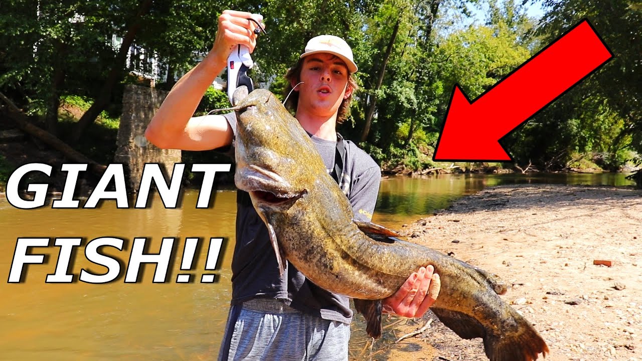 BIGGEST CATFISH  EVER SEEN CAUGHT OUT OF TINY CREEK - Fishing For PREHISTORIC FISH W/Eastern Angling
