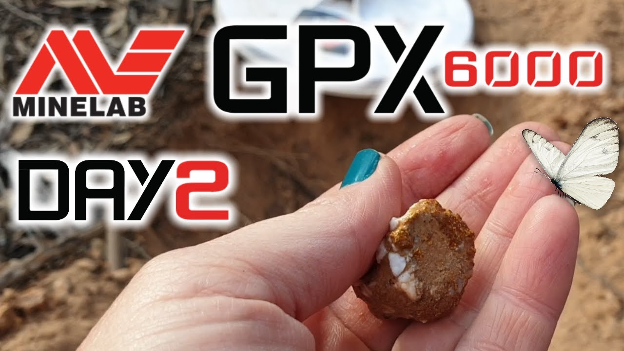 Minelab GPX 6000 | Victoria | Australia | Day 2 | Gold Nuggets + Butterfly (approx. 64 grams)