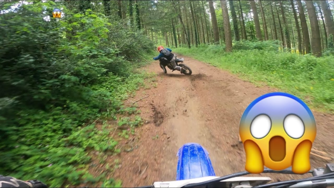 Chevreuil vs 250 yzf 😶‍🌫️