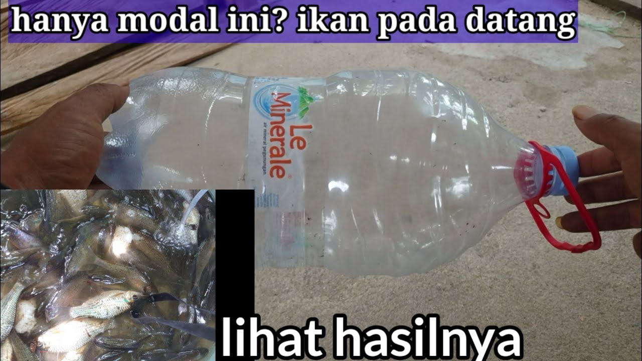 Tutorial buat alat tangkap ikan sederhana, tapi hasilnya di luar dugaan,