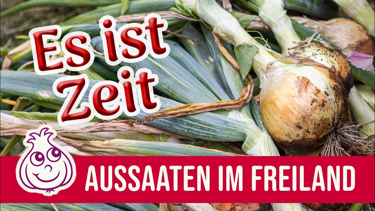 Die erste Aussaat im Freiland im März | KI-frei