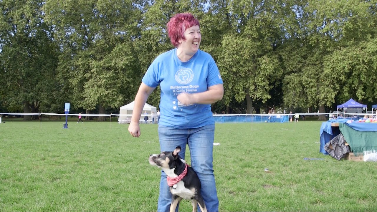 The head of Canine Training at Battersea Dogs and Cats Home: Ali Taylor, Londoner 
