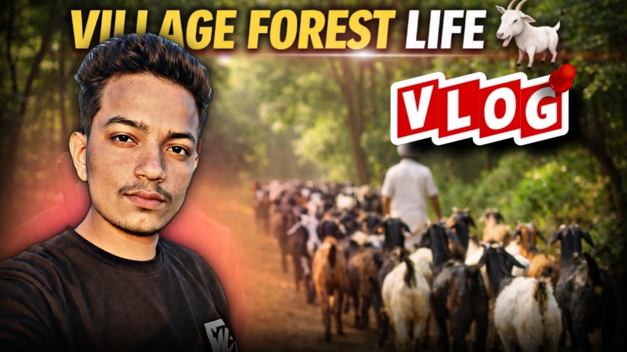 I visited my village forest and goat herding 🐐 VLOG || KISHOR BOCHAWAT 