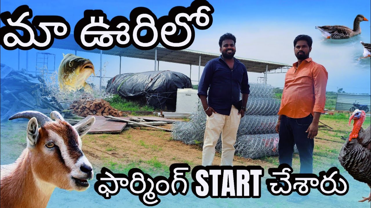 మా ఊరిలో చేపల Forming Start చేస్తున్నారు #fishing  #fish  #fishfarming  #vlogsvideo #forming #vlogs