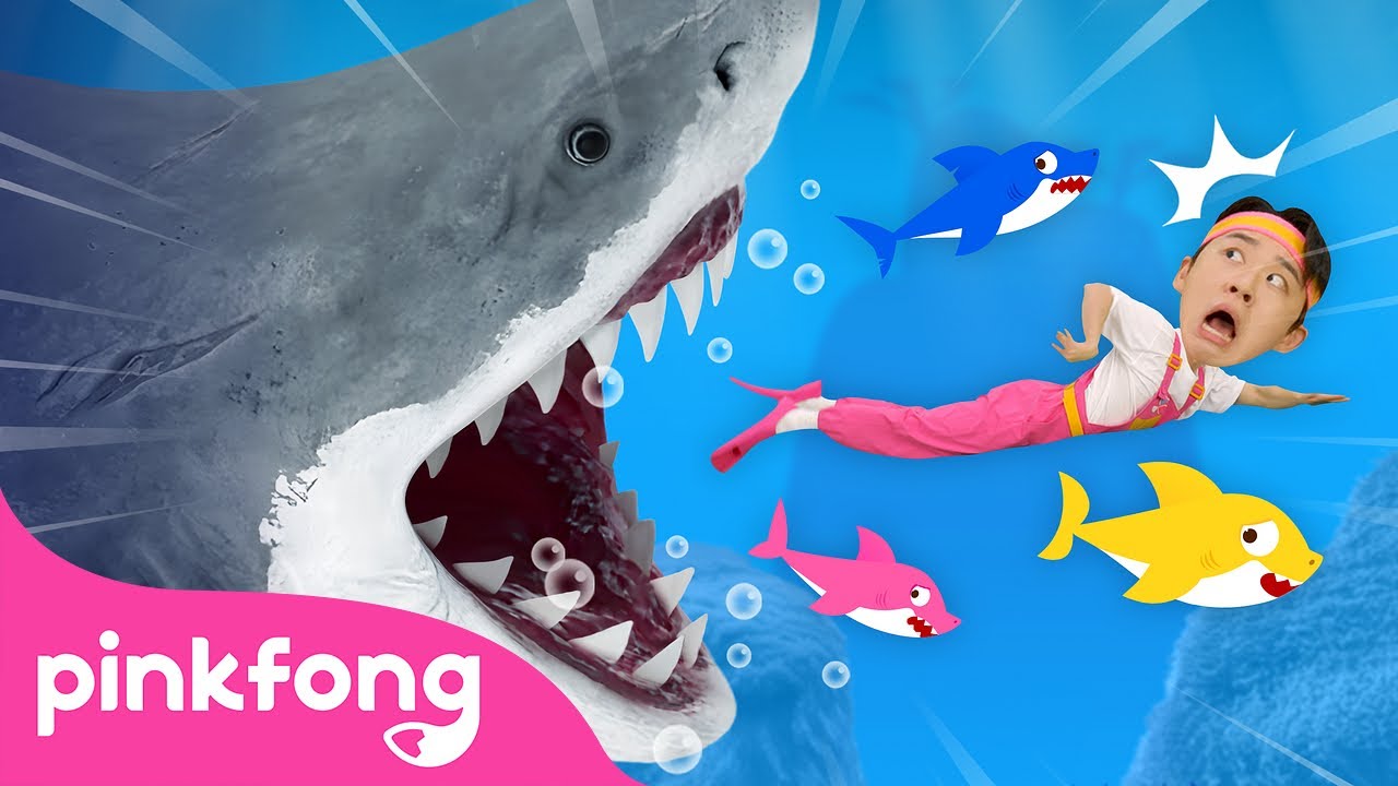 😱 Run Away from the Sharks! | Animal Song | Hoi's Playground | Pinkfong Baby Shark Kids Song