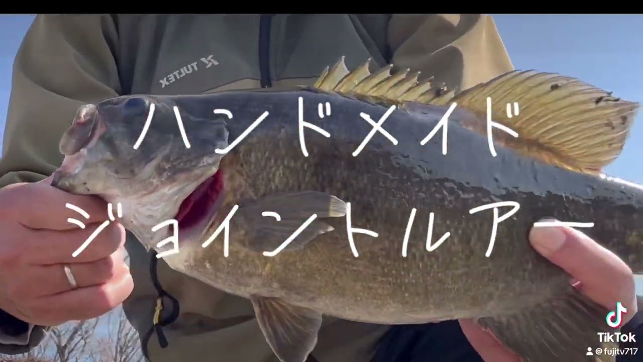 初バス嬉しいよ