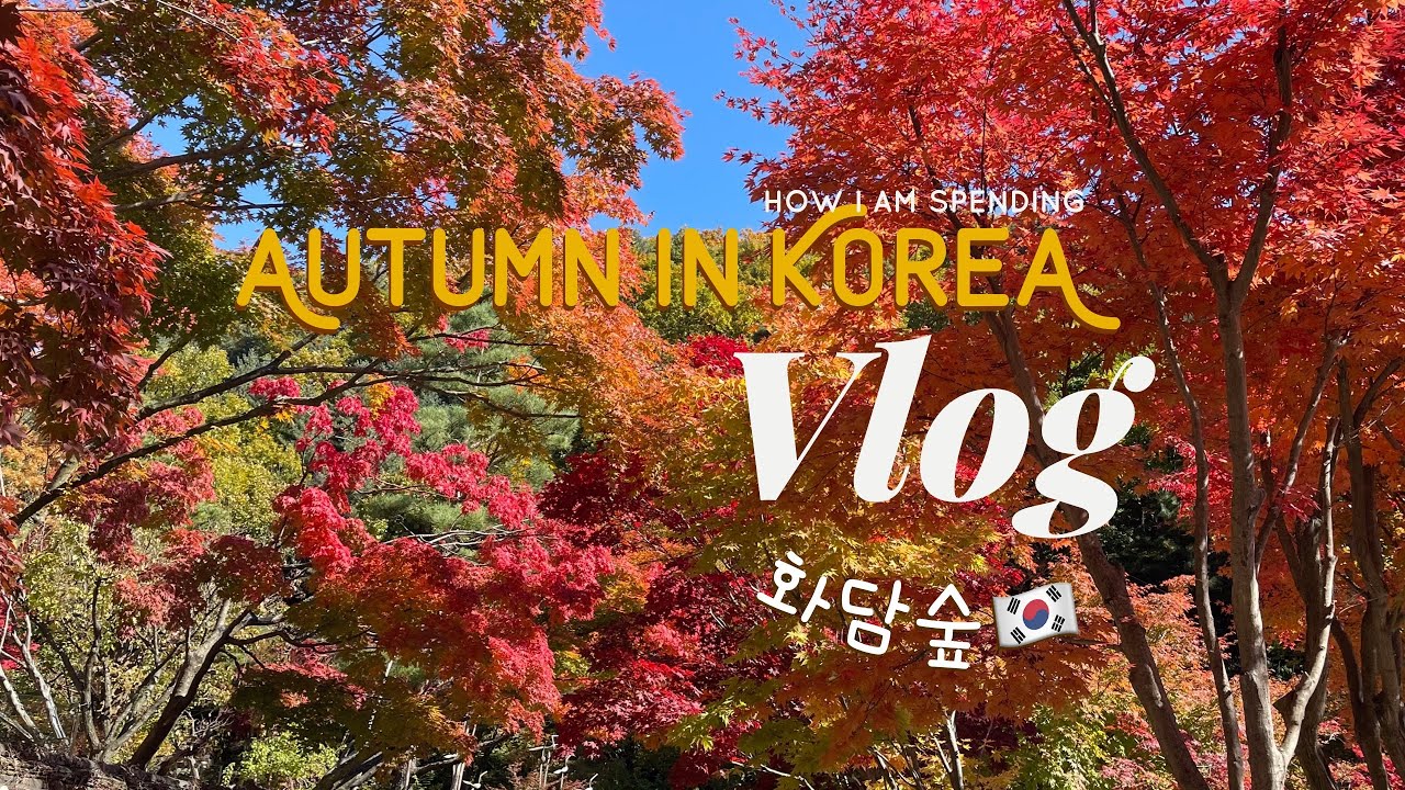 Korea Vlog ◟♡ 🇰🇷 เที่ยวเกาหลี Hwadamsup (화담숲) ดูใบไม้เปลี่ยนสี 🍁 แบบพีคพีค สุดปังไปเลยจ้าา 🍂🧡🤩