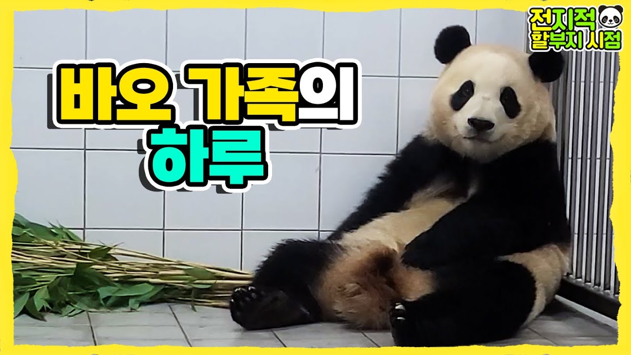 (SUB) Готовим закуску ручной работы для маленькой панды│Panda Family🐼