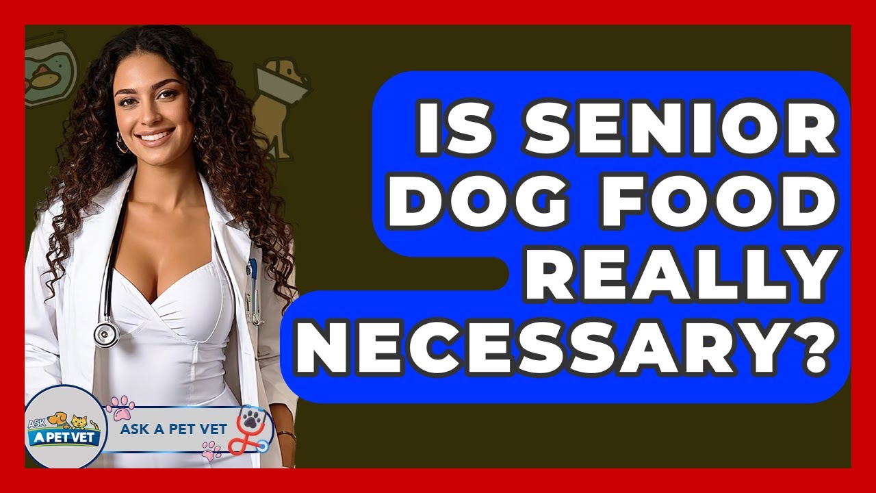 Is Senior Dog Food Really Necessary? - Ask A Pet Vet