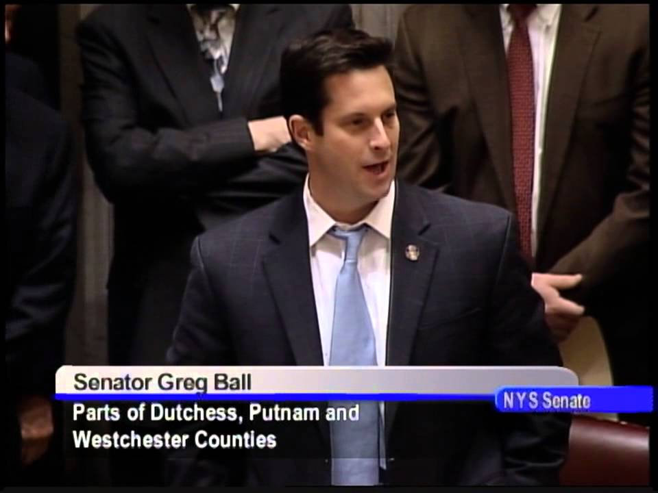 Senator Greg Ball session comments - 1/14/13