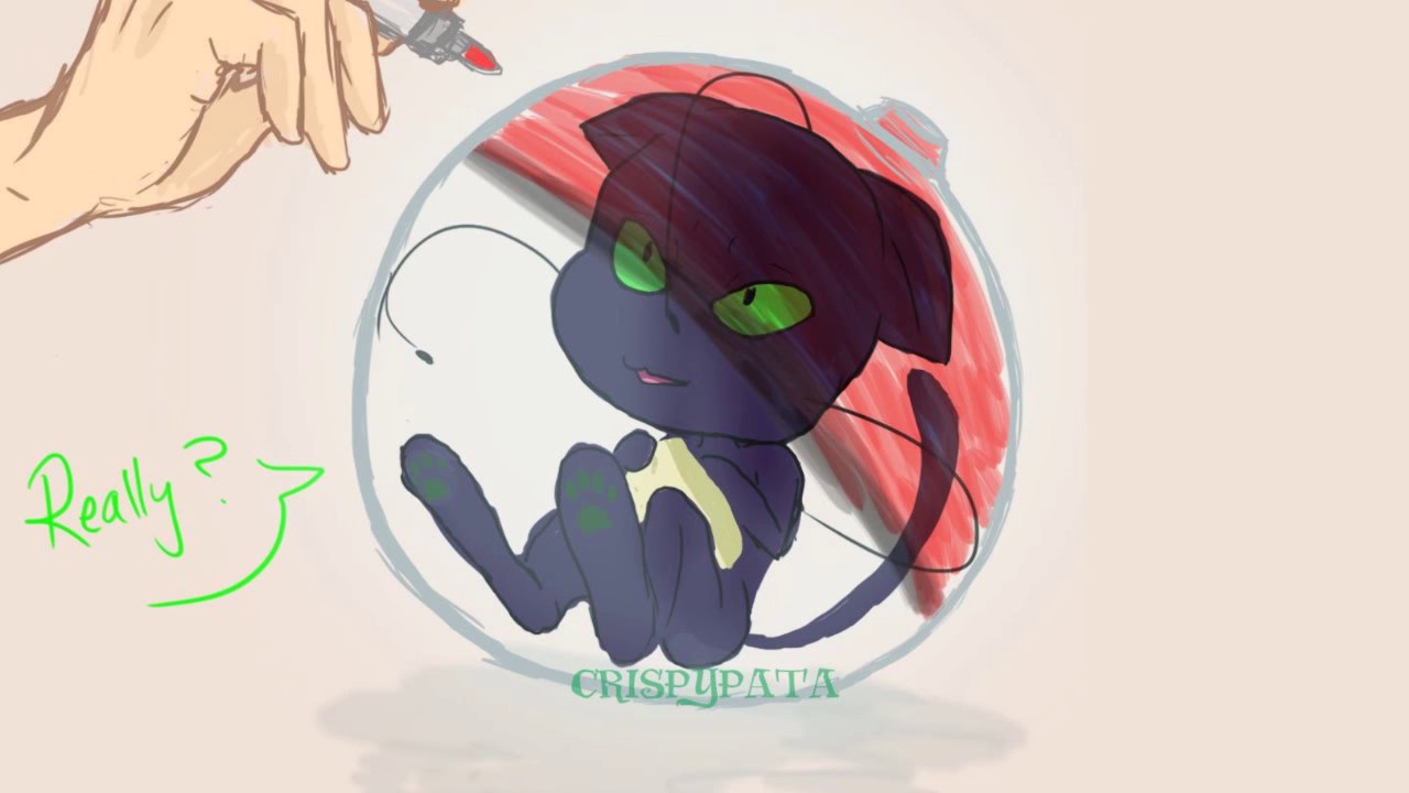 [Miraculous Comic] Kwami Catcher/Alolan Plagg [Polish Fandub]