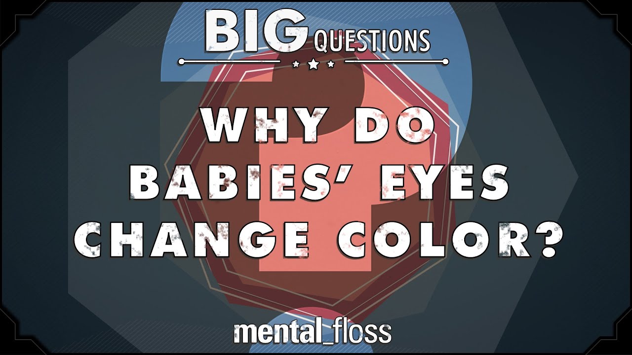 Why do babies' eyes change color?  - Big Questions - (Ep. 211) | Mental Floss