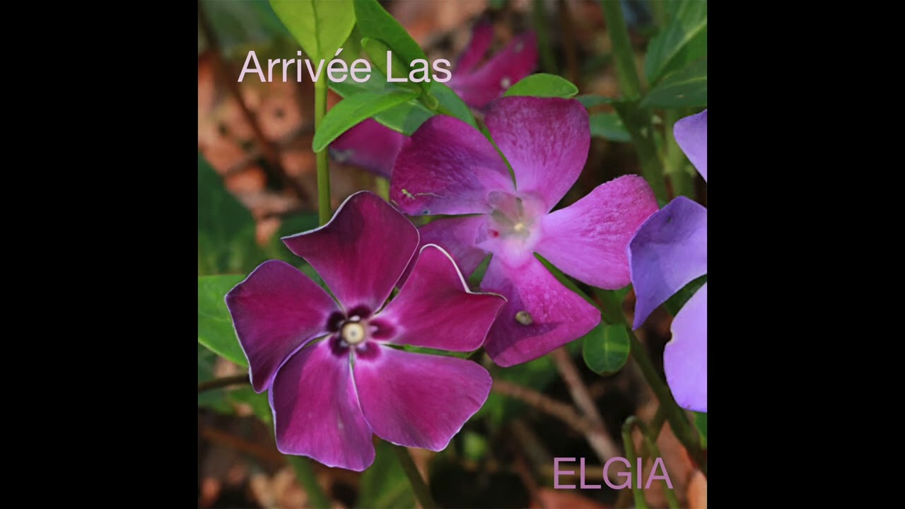 ELGIA - Arrivée Las