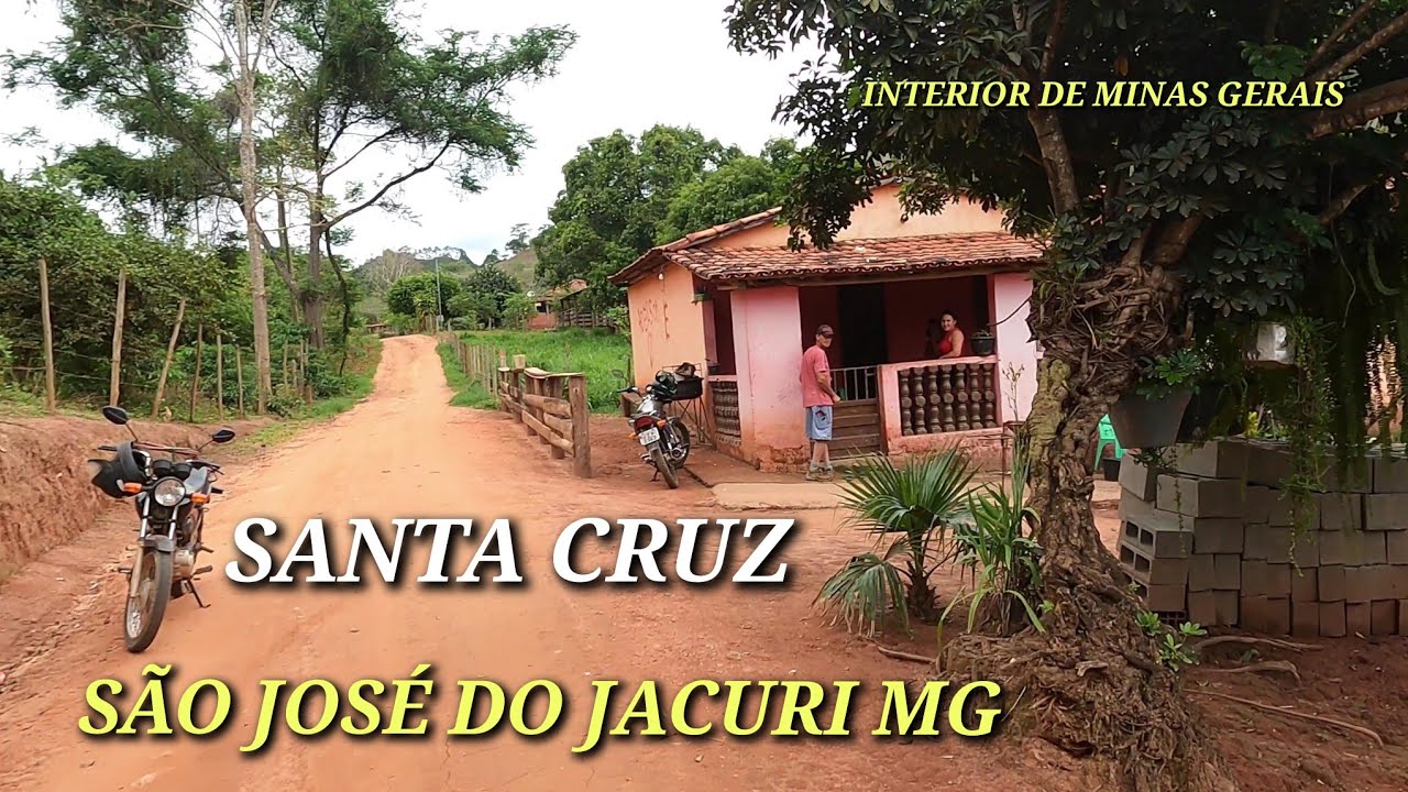 SANTA CRUZ , MUNICÍPIO DE SÃO JOSÉ DO JACURI MG , ESTRADA DE TERRA , INTERIOR DE MINAS GERAIS (ROÇA)