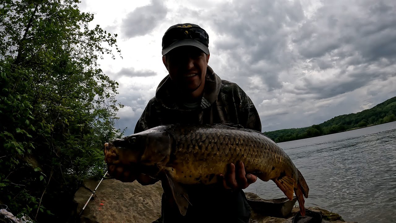 Biggest Carp I've Ever Caught!
