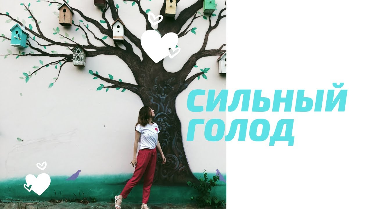КАК НЕ ПЕРЕЕДАТЬ, КОГДА СИЛЬНО ГОЛОДЕН?