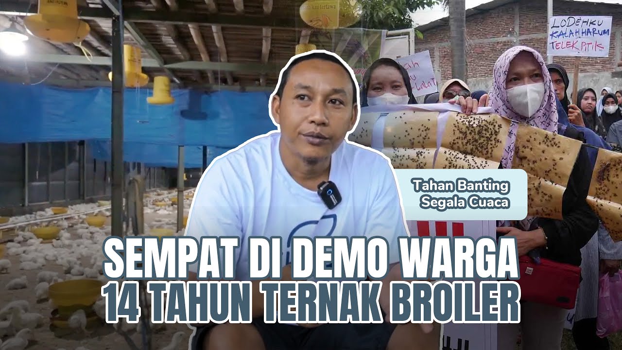Chickin Farmily 02 | Pentingnya Pencatatan Dalam Mengelola Ternak Ayam Broiler