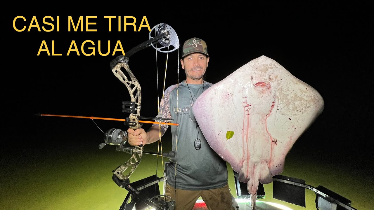 Criaturas Marinas Episodio 1 Ver Para Creer