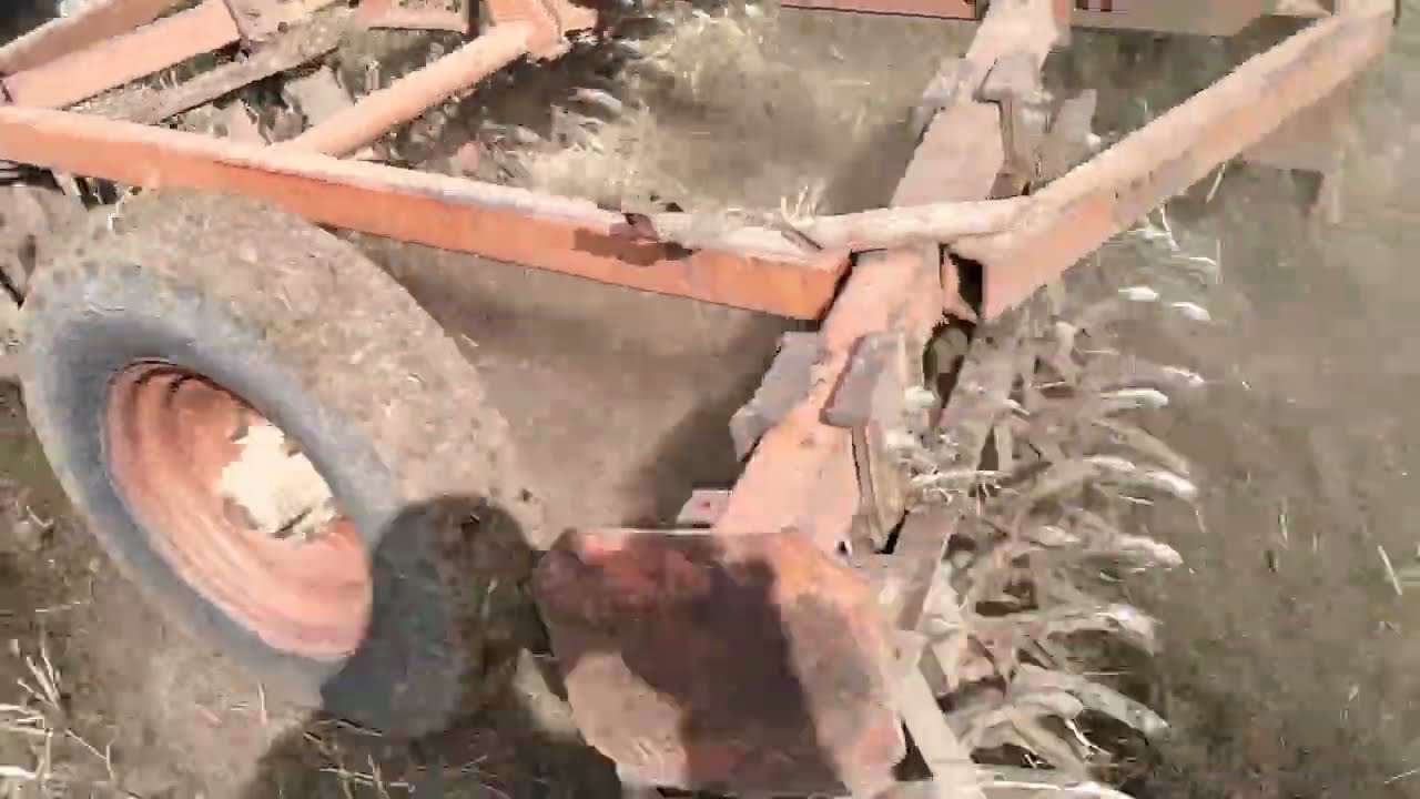 Закрытие влаги и выравнивание глыбистых фонов бороной БИГ-3А по различным предшественникам