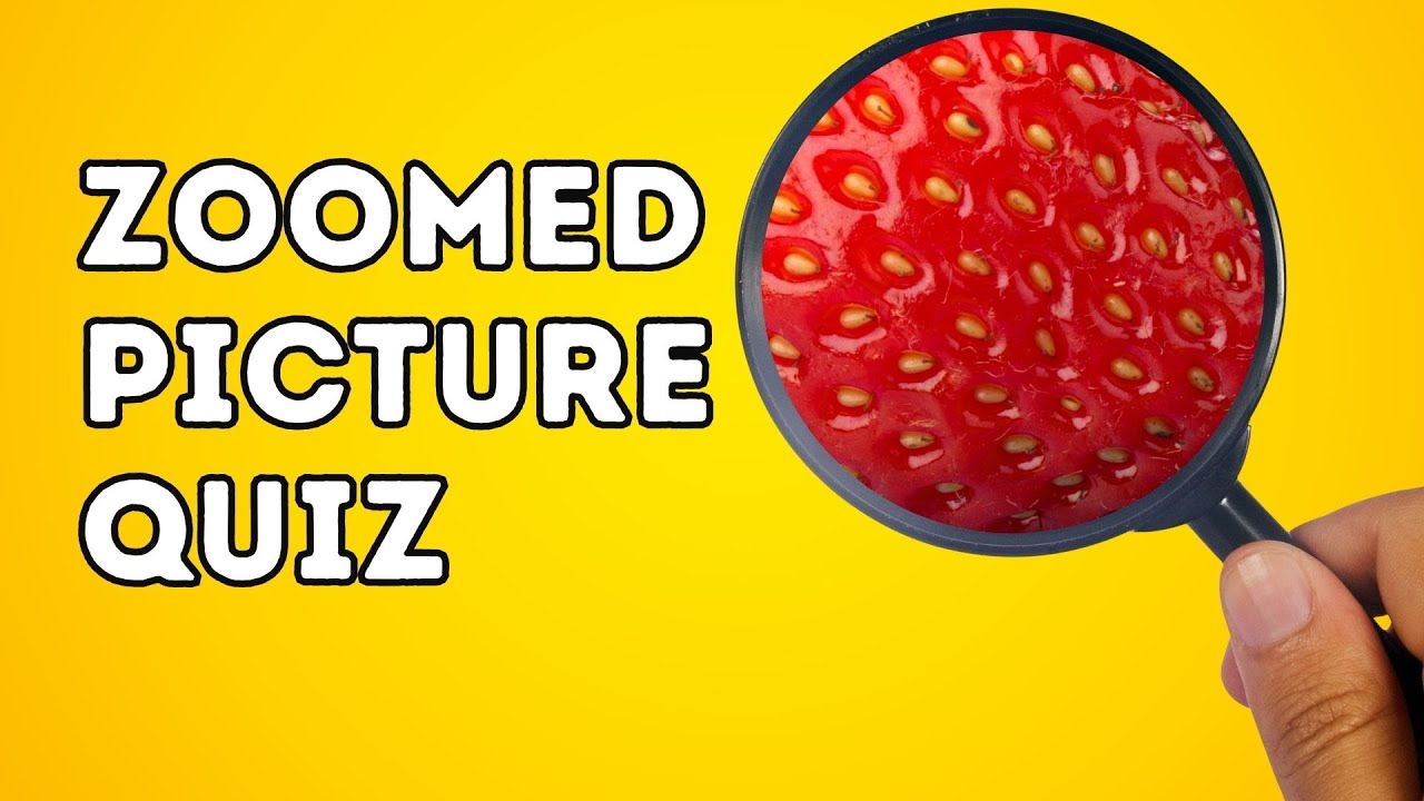 Zoomed Picture Quiz - Zoomed in Picture Guessing Game - Guess the Zoomed Image - Close up Challenge