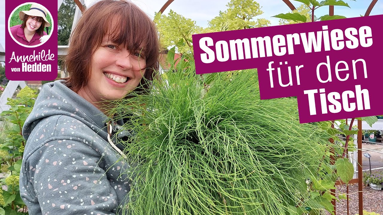 Unkraut für die Sommer-Deko?? So kommt die Sommerwiese auf den Tisch.