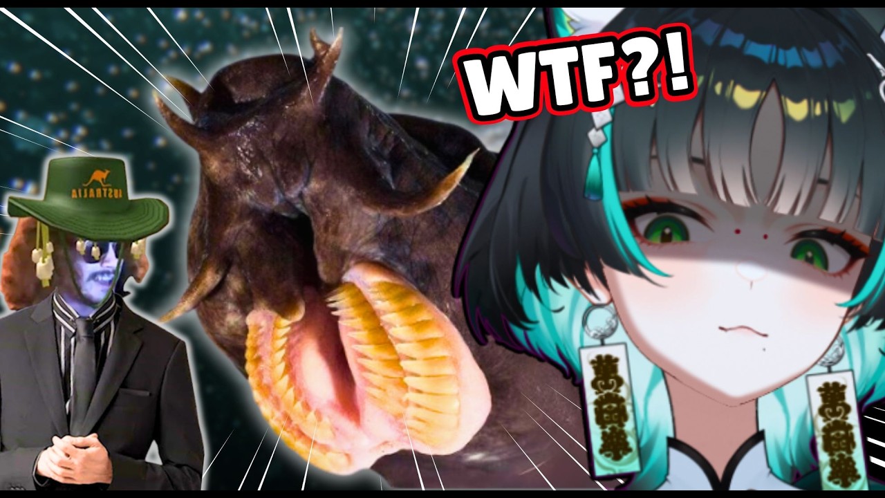 I WASN'T READY FOR THESE ANIMALS!💀 || More Parz React