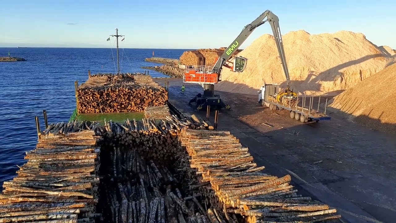 Port of Skulte Latvia -LOADING OF TIMBER CARGO