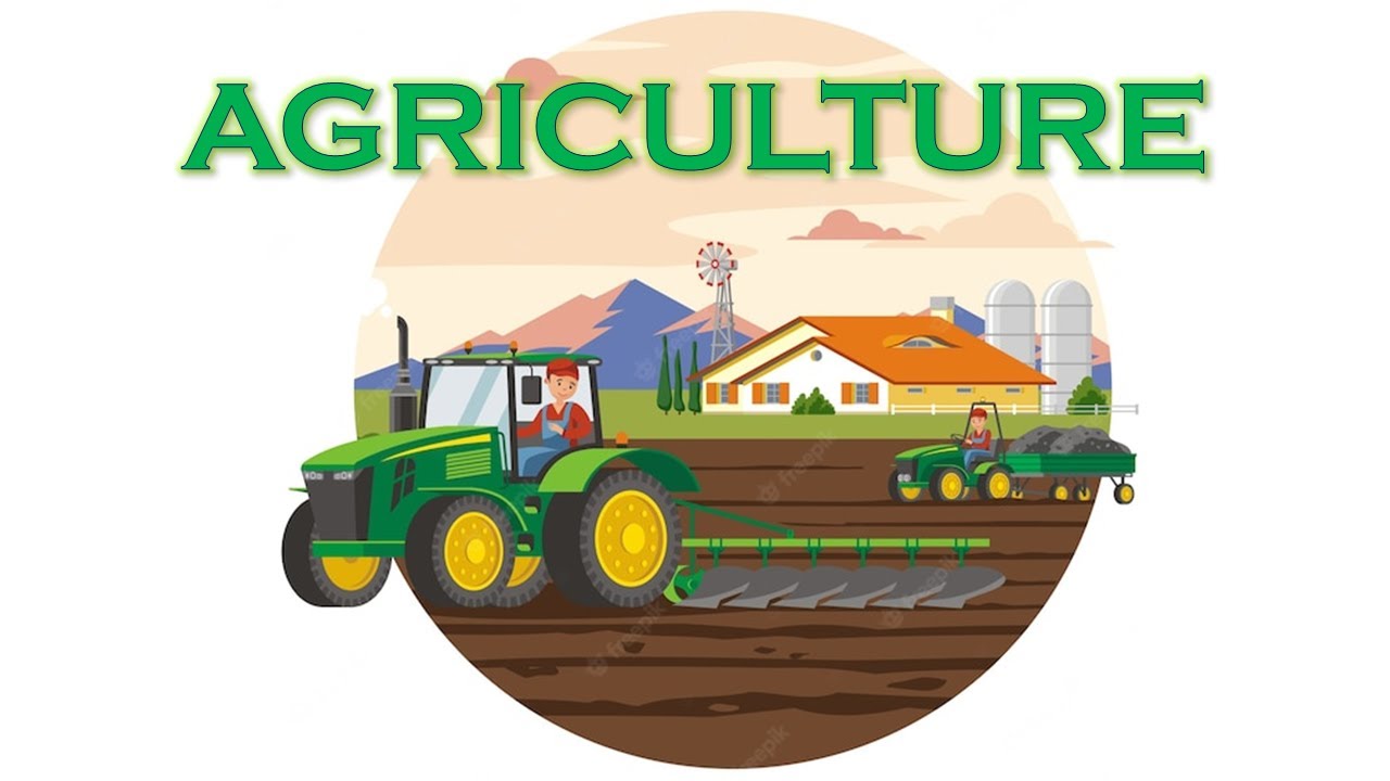 Agriculture l Types of crops l food crop Cash crops l Horticulture, Animal rearing, Fishing